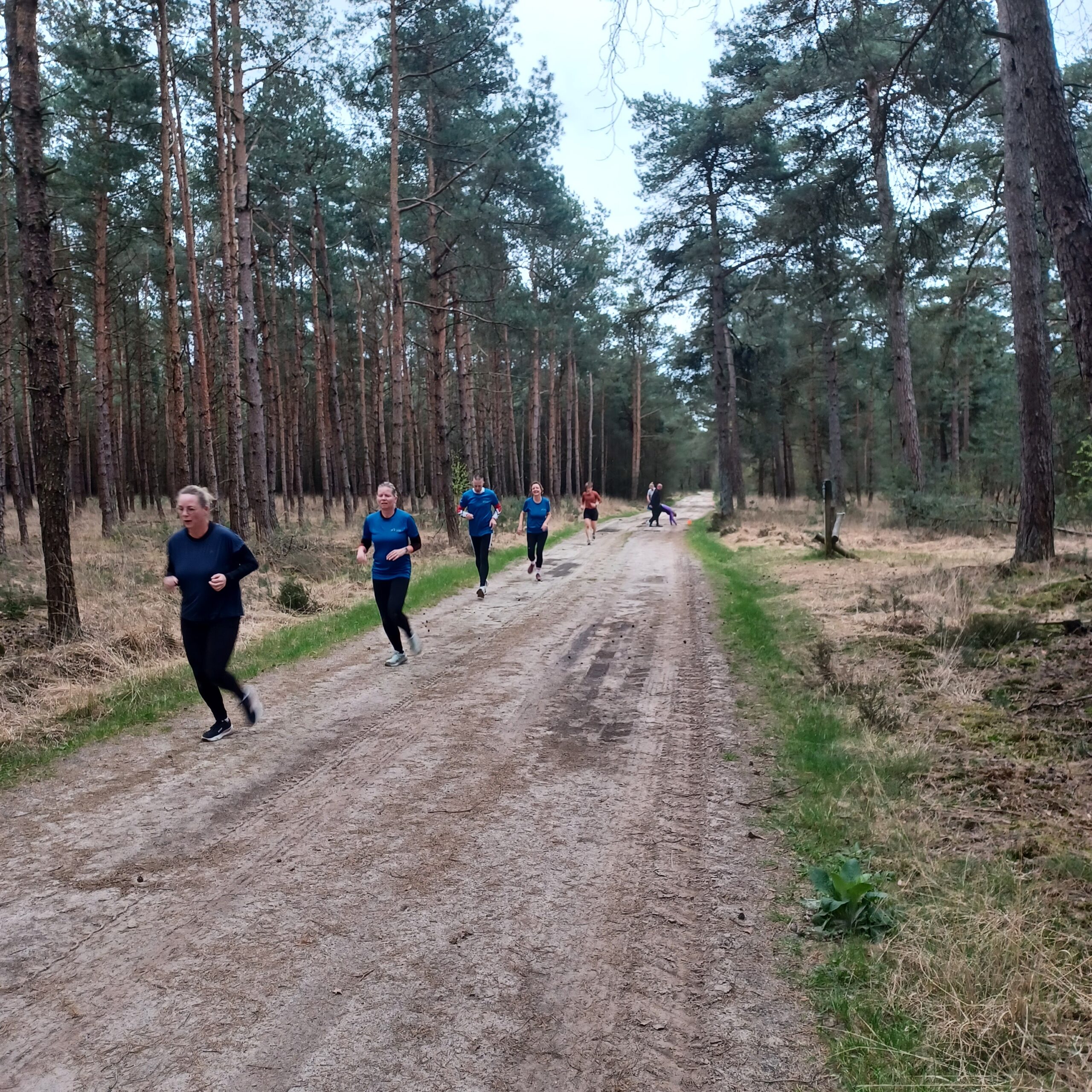 Start to Plinq 5 km.